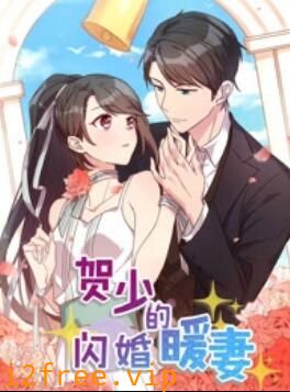 贺少的闪婚暖妻 动态漫第一季 封面图片