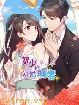 贺少的闪婚暖妻 动态漫第三季 封面图片