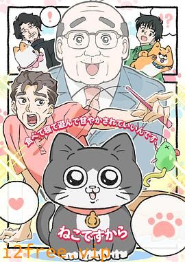 转生成猫的大叔 封面图片