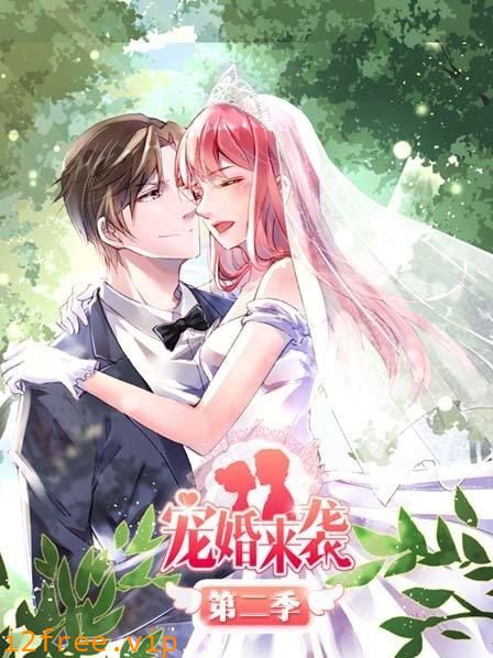 宠婚来袭第二季 封面图片