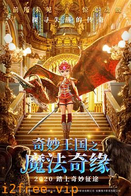 奇妙王国之魔法奇缘 封面图片
