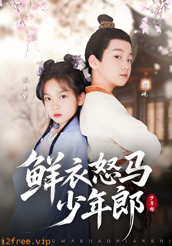 鲜衣怒马少年郎 封面图片