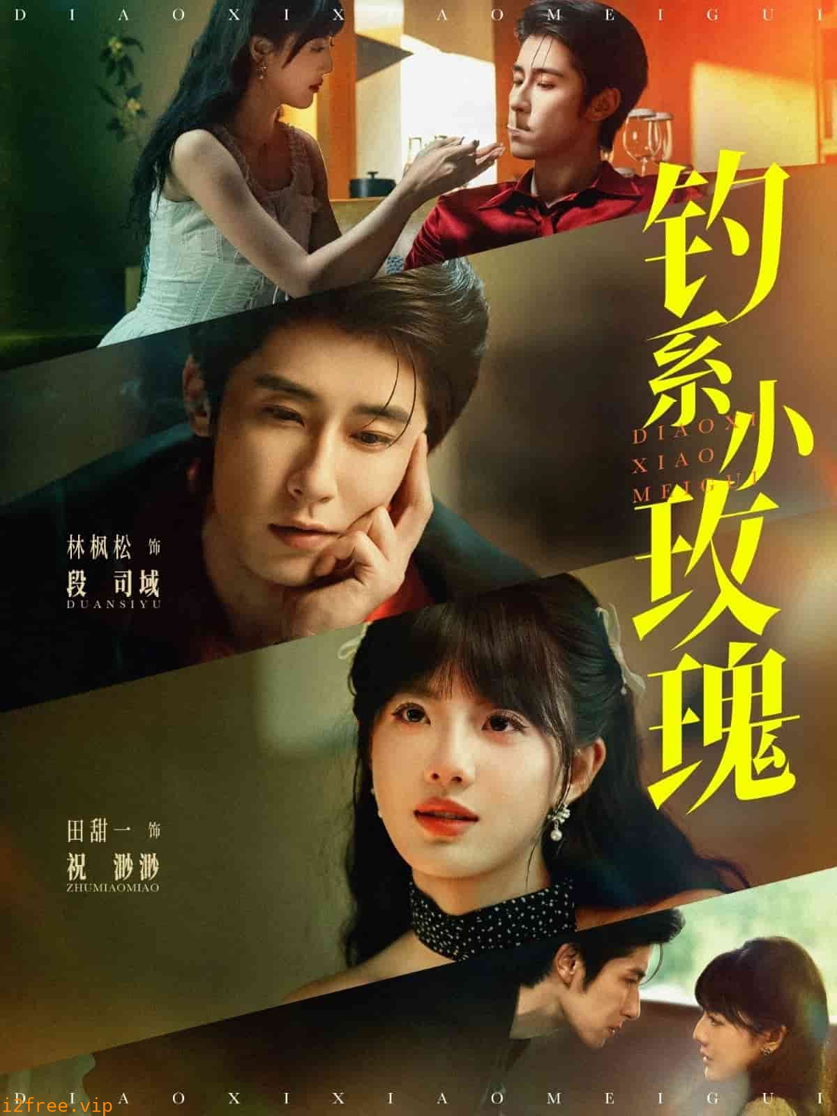 钓系小玫瑰 封面图片