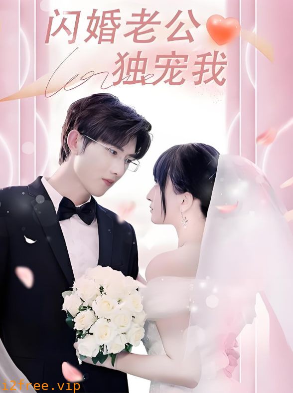 闪婚老公独宠我 封面图片