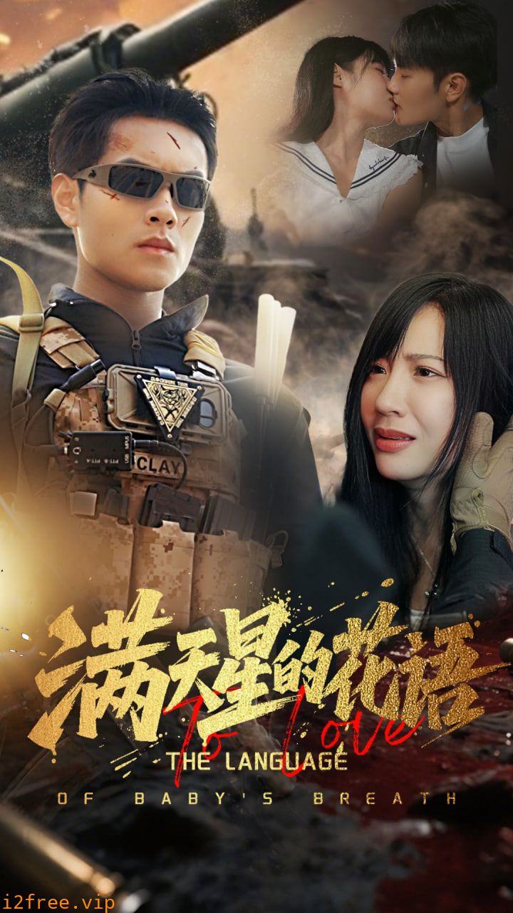 满天星的花语 封面图片