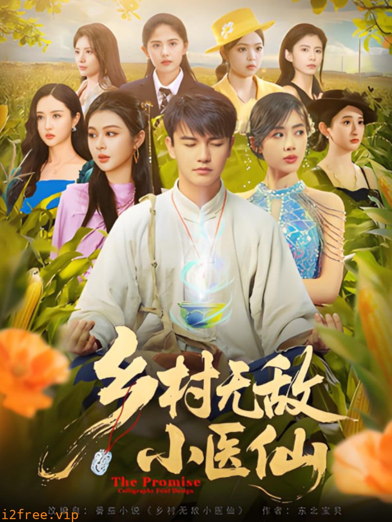 乡村无敌小医仙 封面图片
