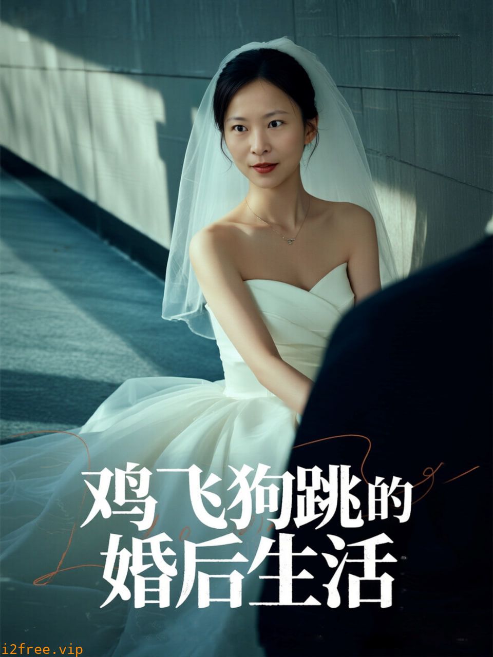 鸡飞狗跳的婚后生活 封面图片
