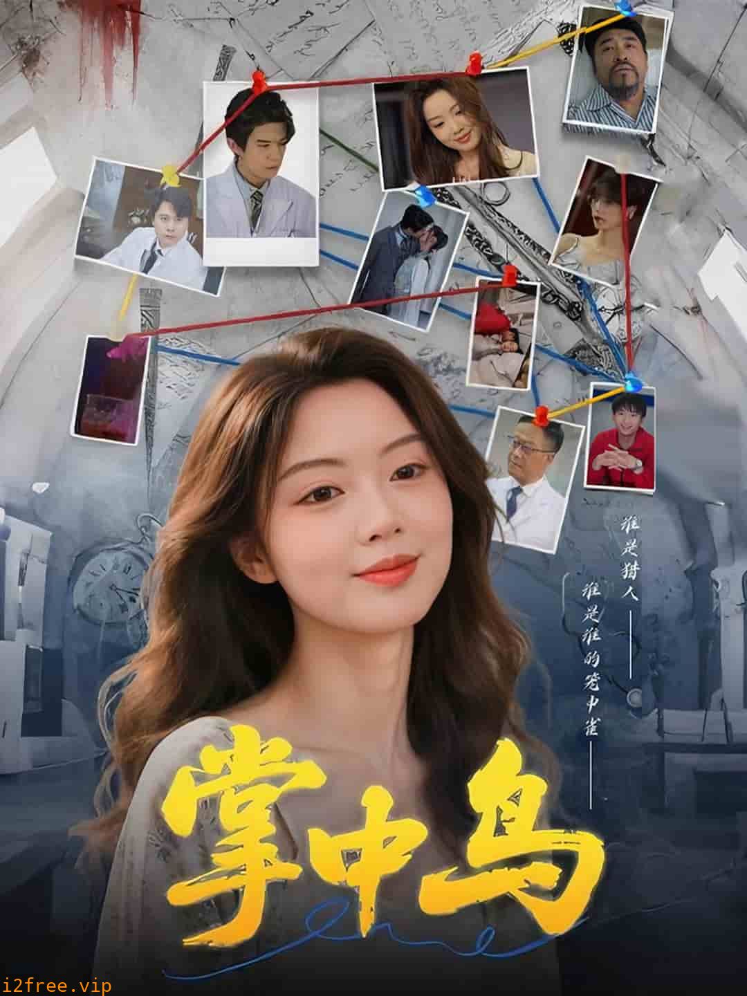 掌中鸟 封面图片