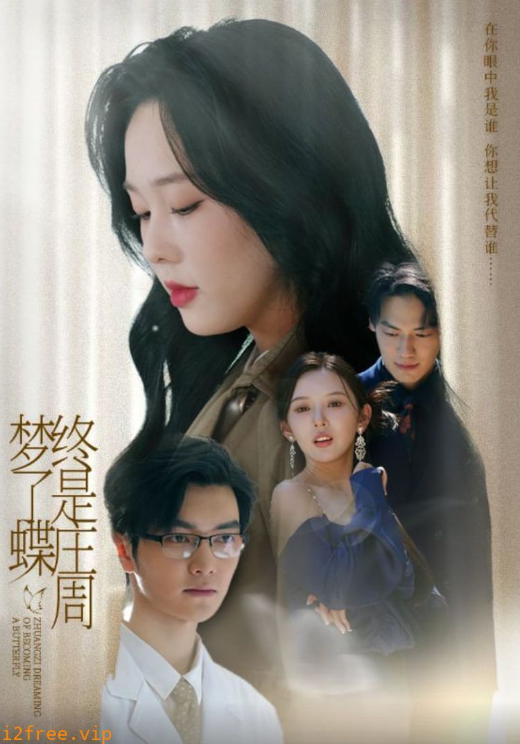 终是庄周梦了蝶 封面图片
