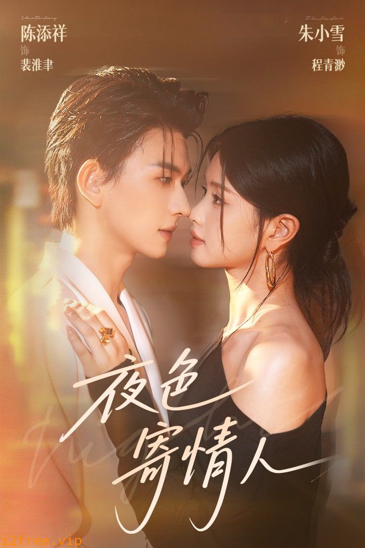 夜色寄情人 封面图片