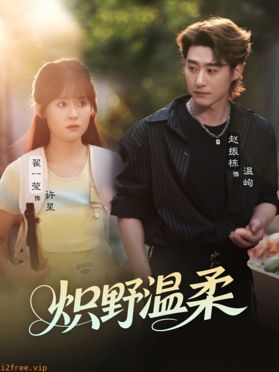 炽野温柔 封面图片