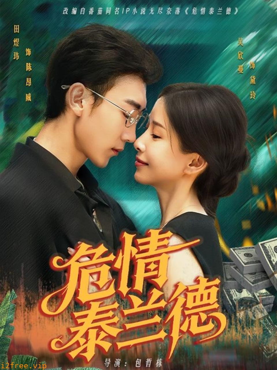 危情泰兰德 封面图片