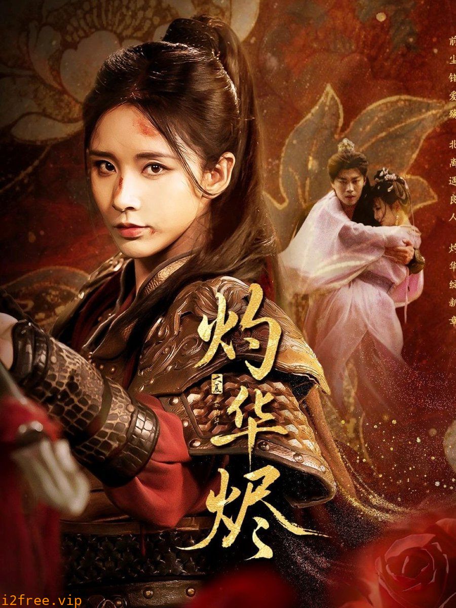 灼华烬 封面图片