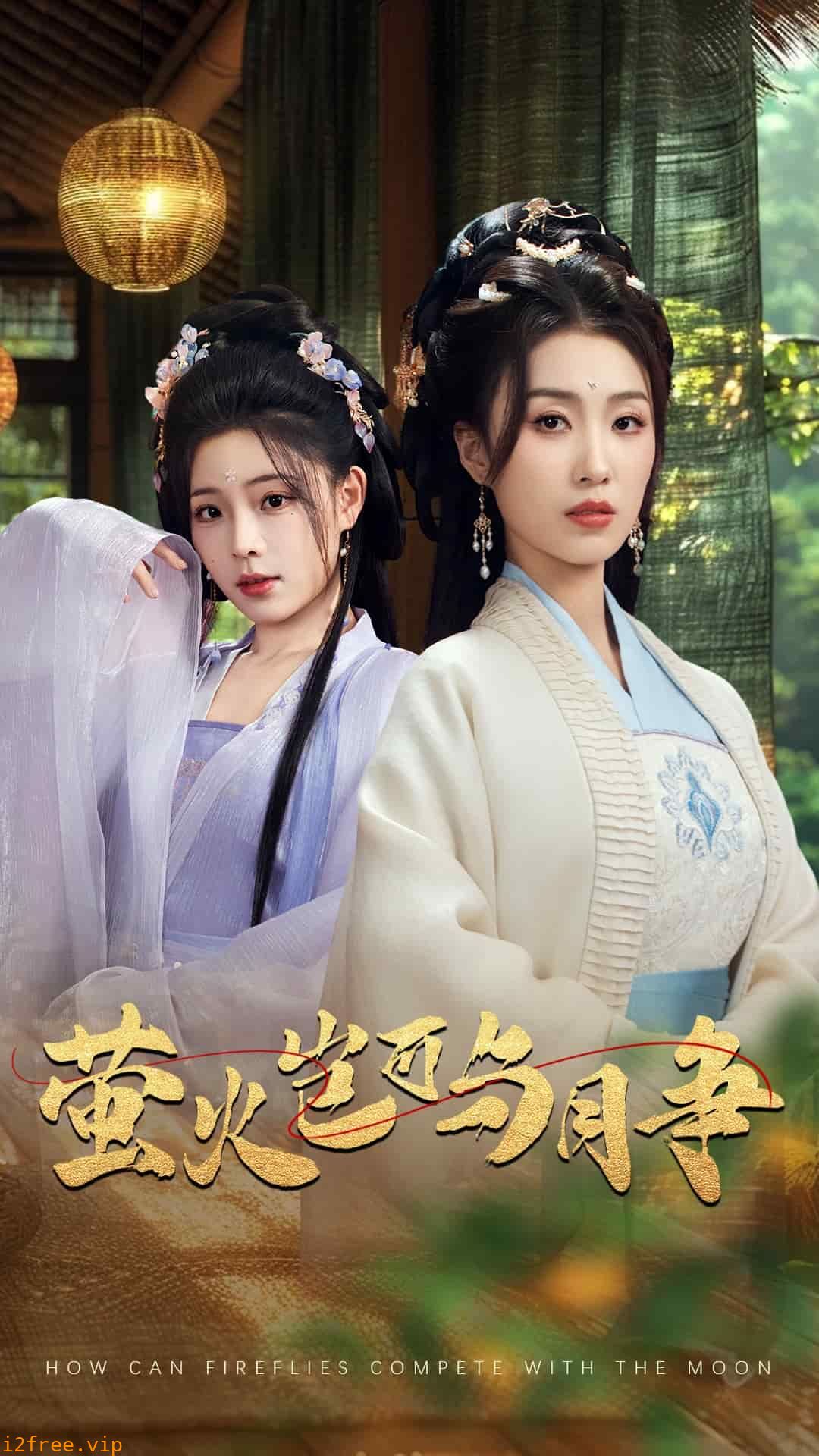 萤火岂可与月争 封面图片