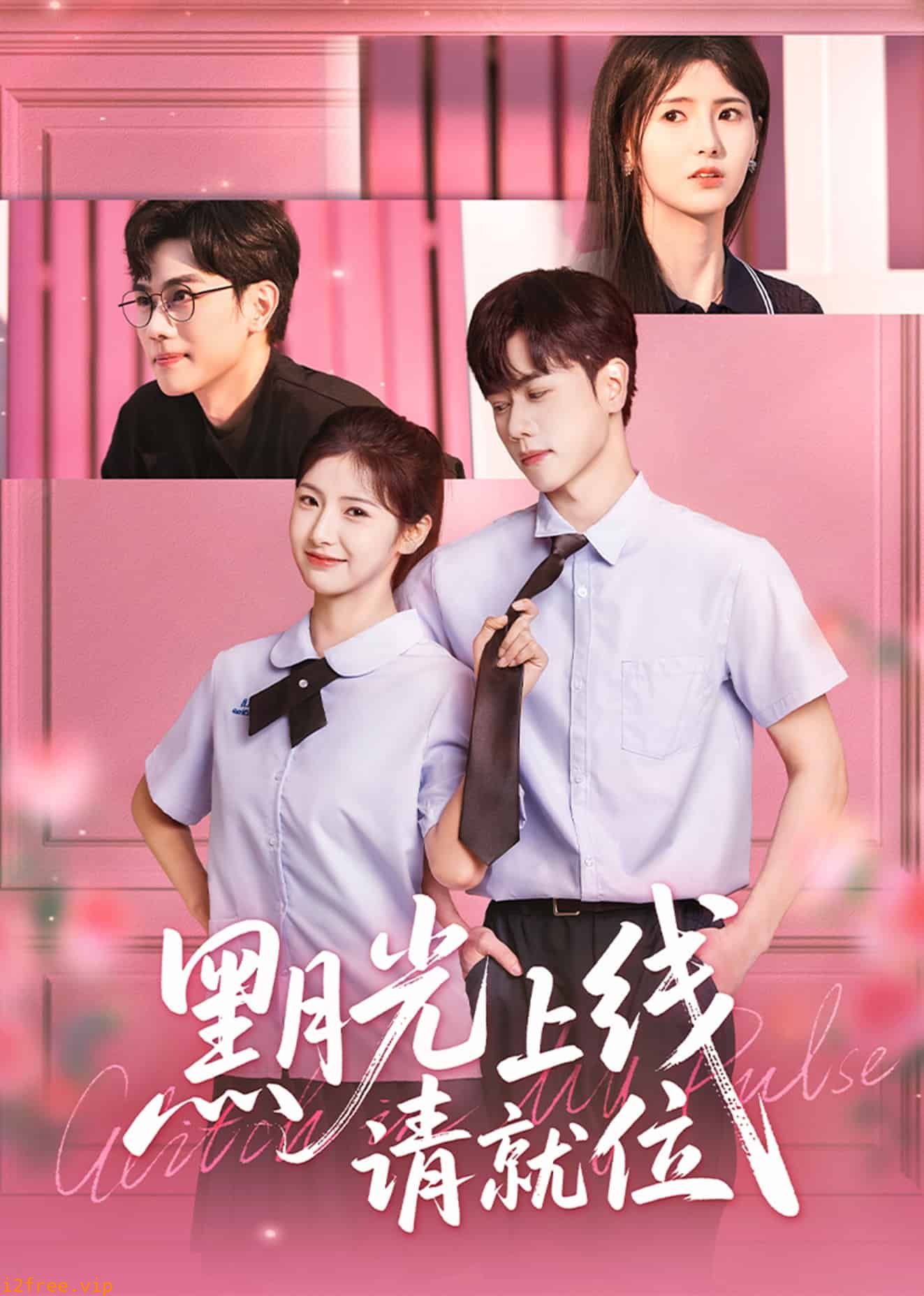 黑月光上线请就位 封面图片