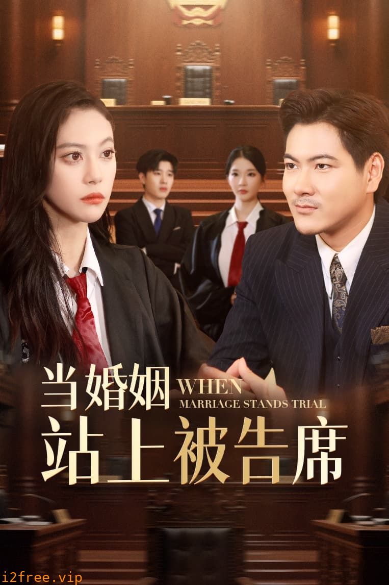 当婚姻站上被告席 封面图片
