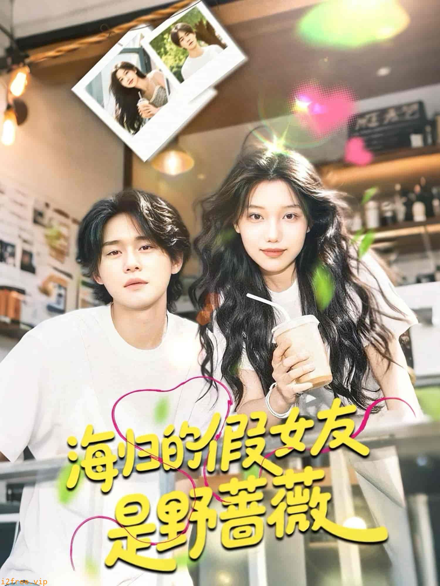 海归的假女友是野蔷薇 封面图片