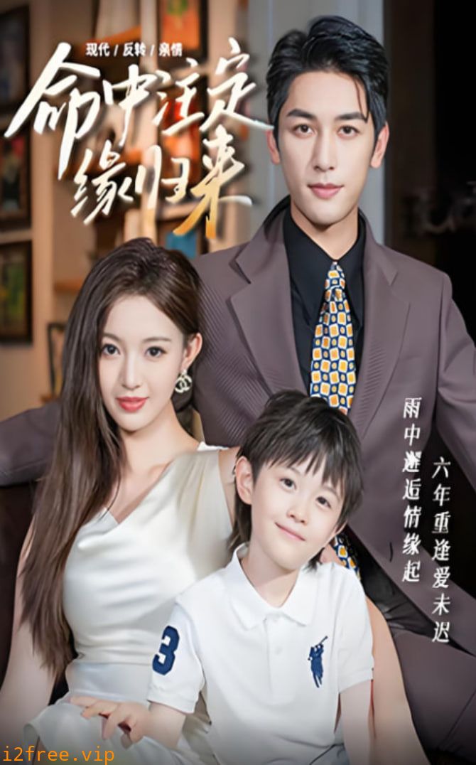 命中注定缘归来 封面图片