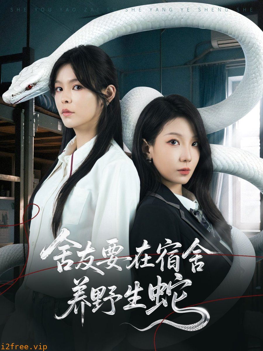舍友要在宿舍养野生蛇 封面图片