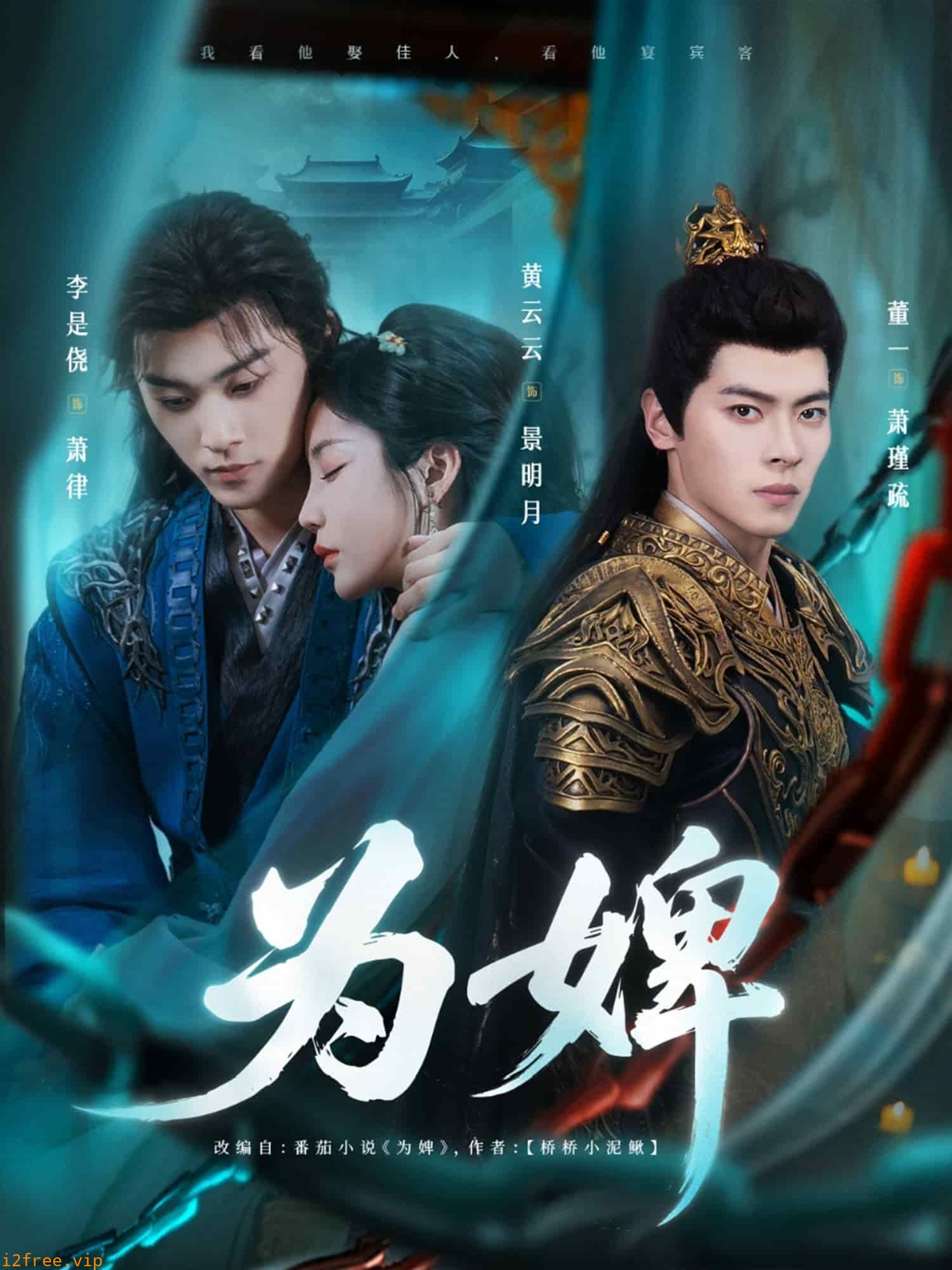 为婢 封面图片