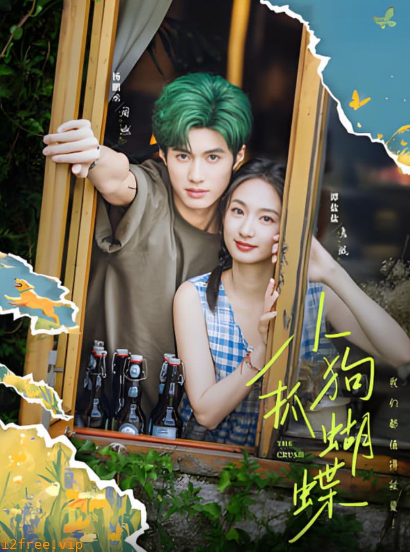 小狗抓蝴蝶 封面图片