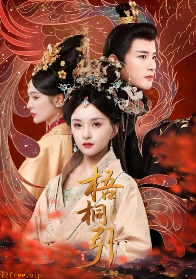 梧桐引 封面图片