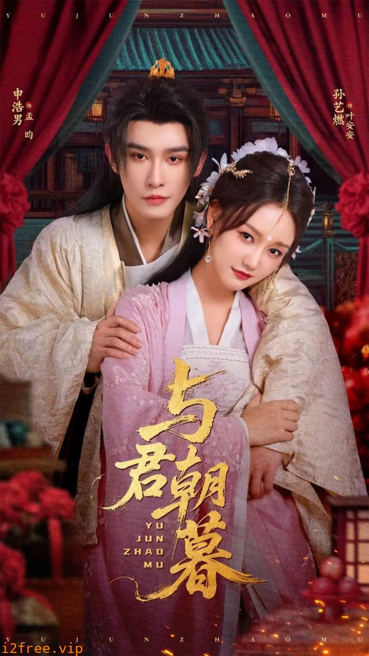 与君朝暮 封面图片
