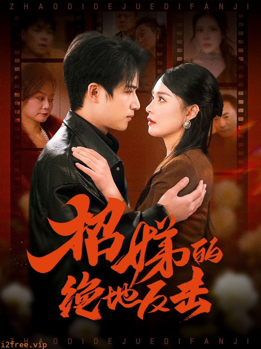 卷帘待得月华生 封面图片