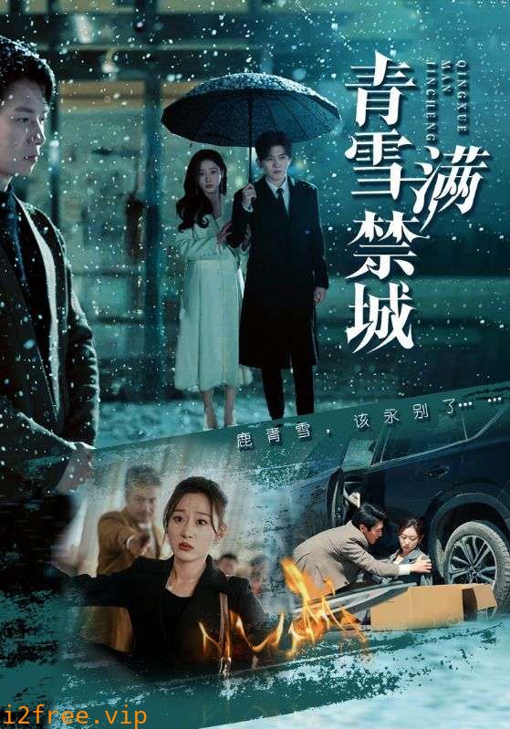 青雪满禁城 封面图片