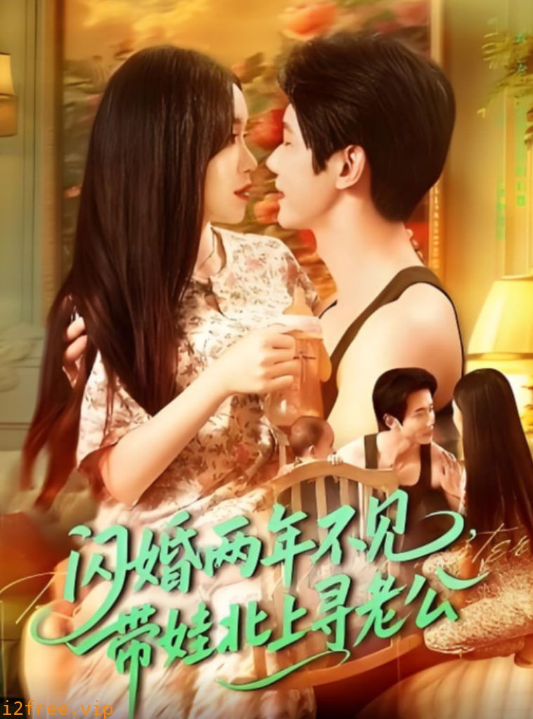 闪婚两年不见带娃北上寻老公 封面图片