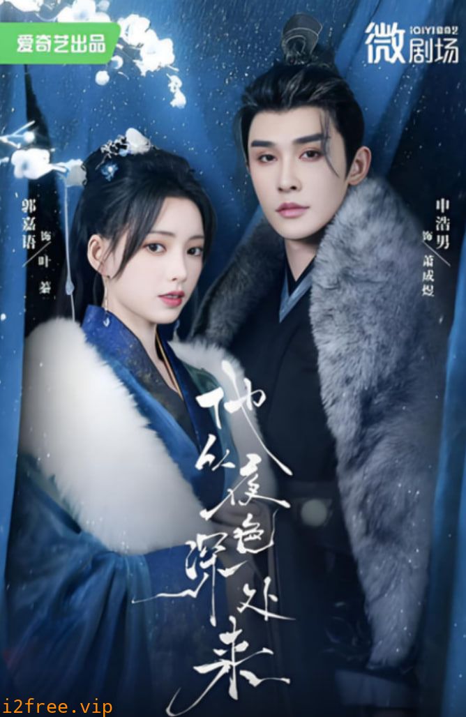 他从夜色深处来 封面图片