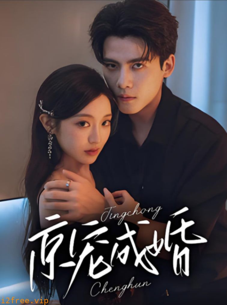 京宠成婚 封面图片