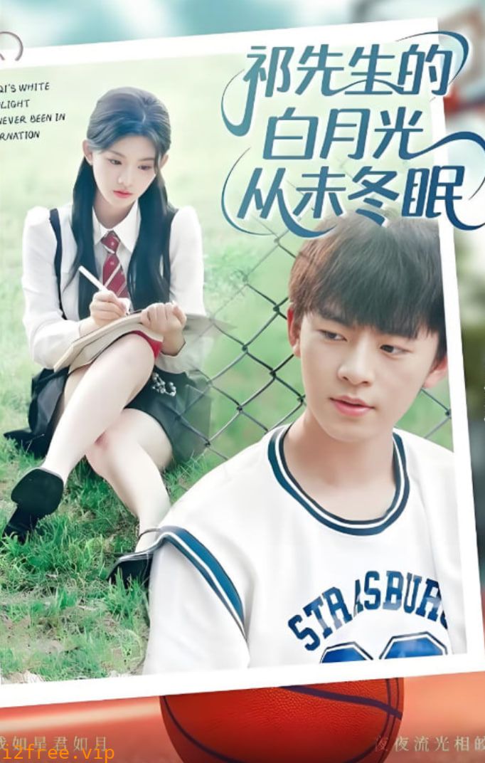 祁先生的白月光从未冬眠 封面图片