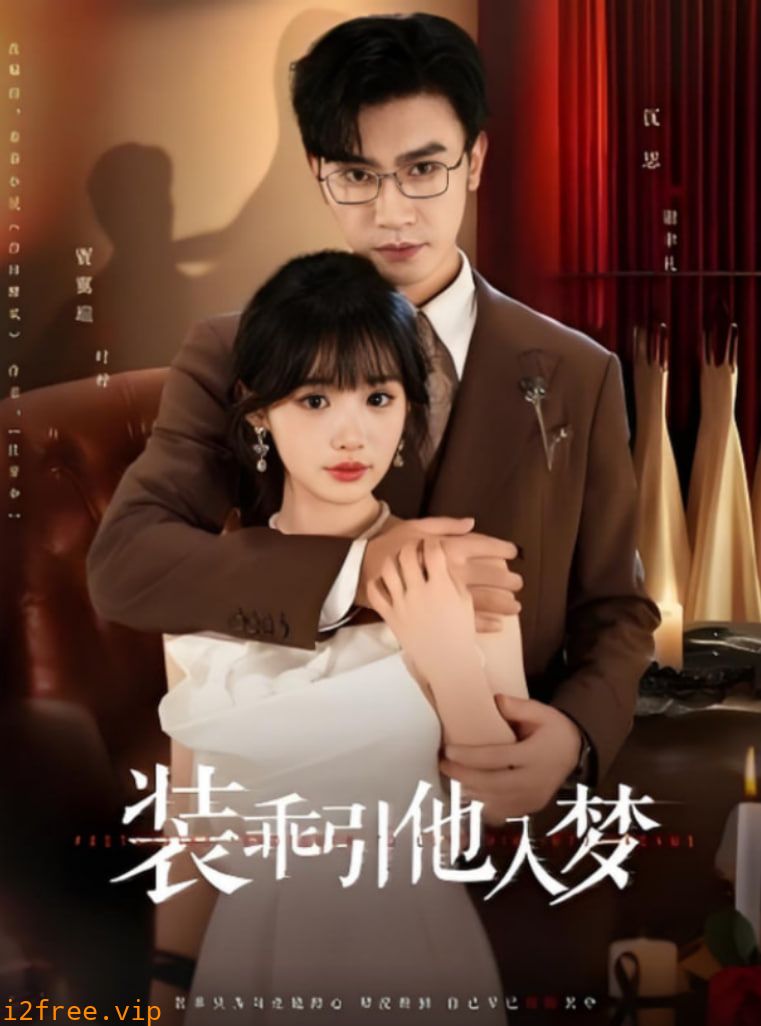 装乖引他入梦 封面图片