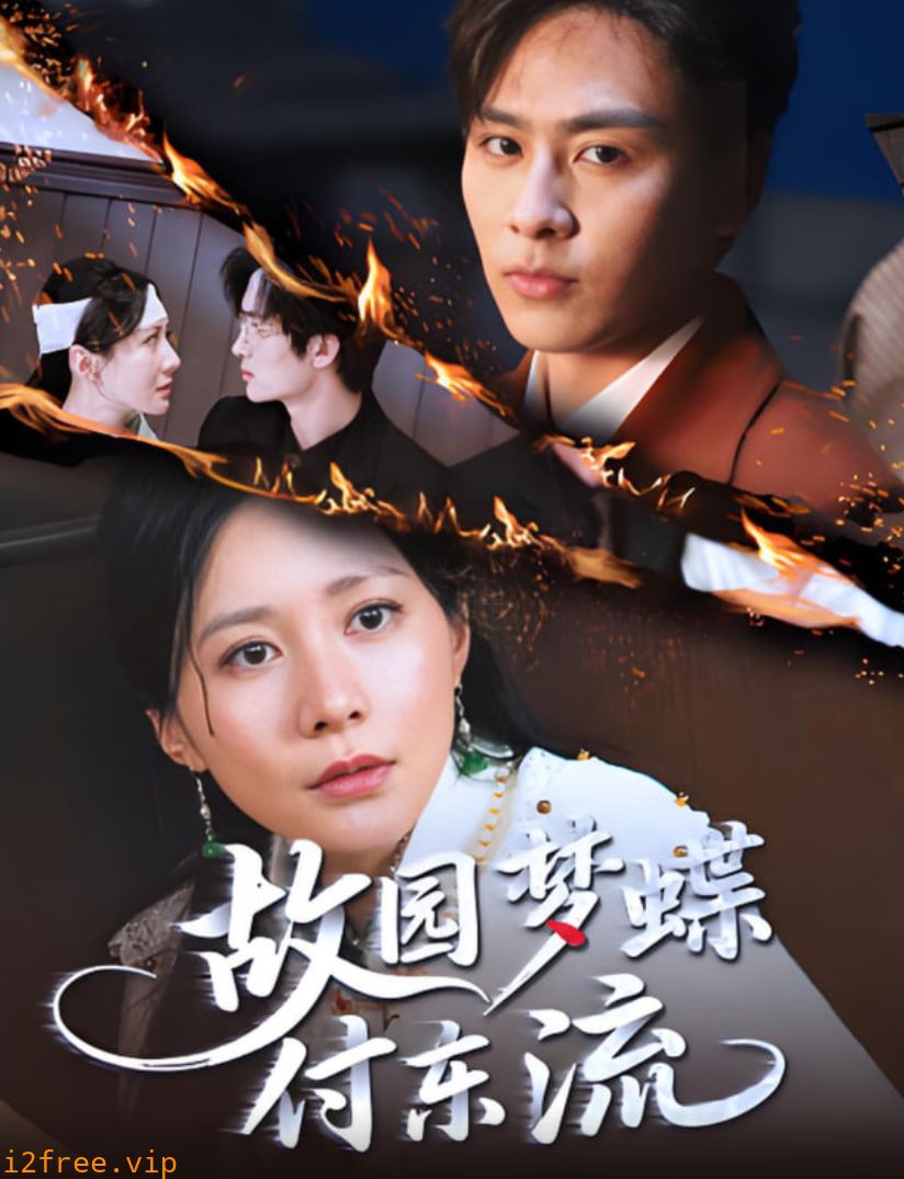 故园梦蝶付东流 封面图片
