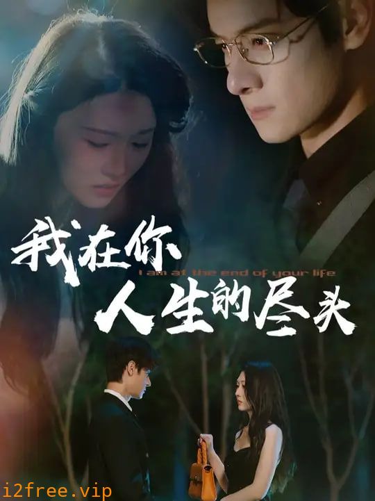 我在你人生的尽头 封面图片
