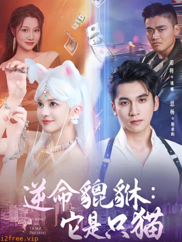 逆命貔貅它是只猫 封面图片