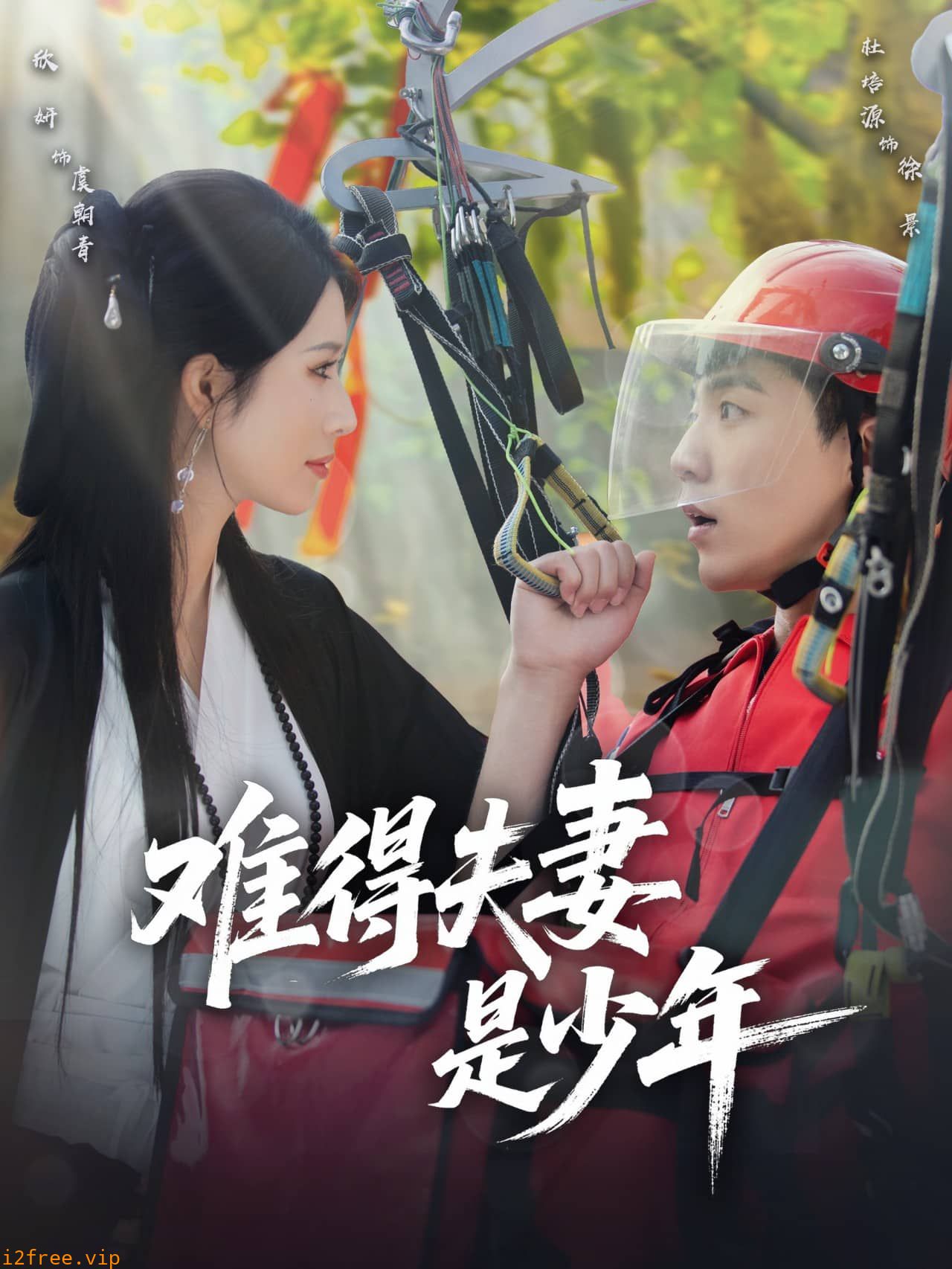 难得夫妻是少年 封面图片