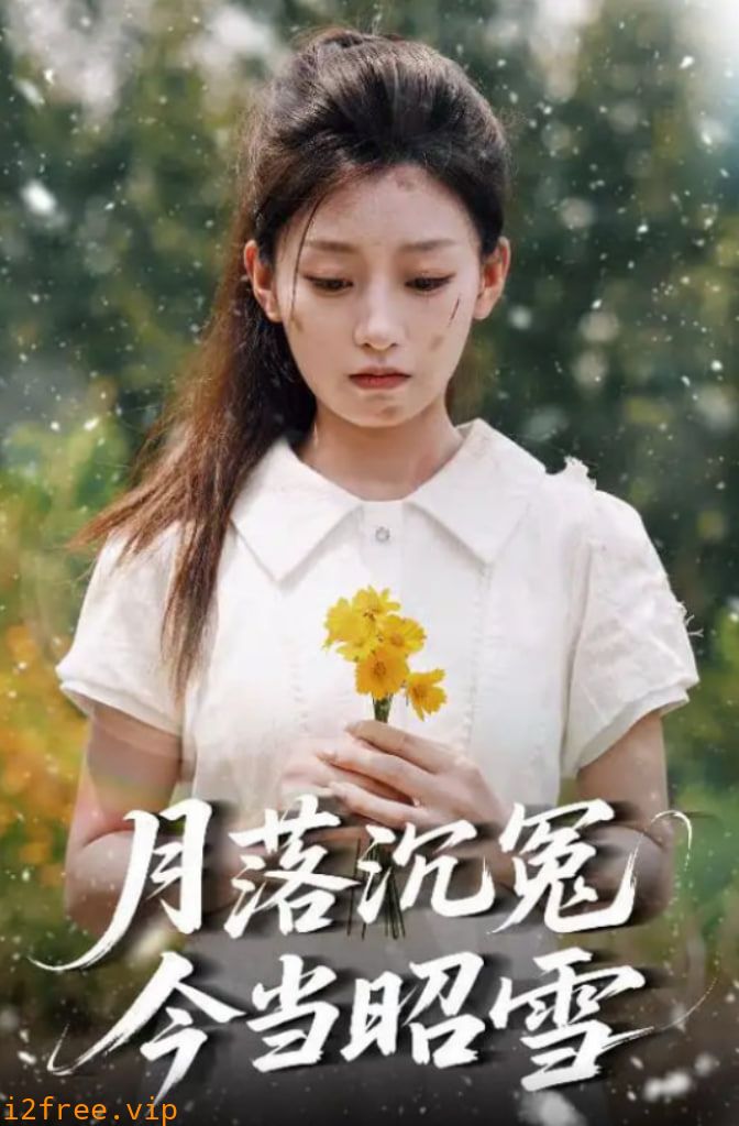 月落沉冤今当昭雪 封面图片