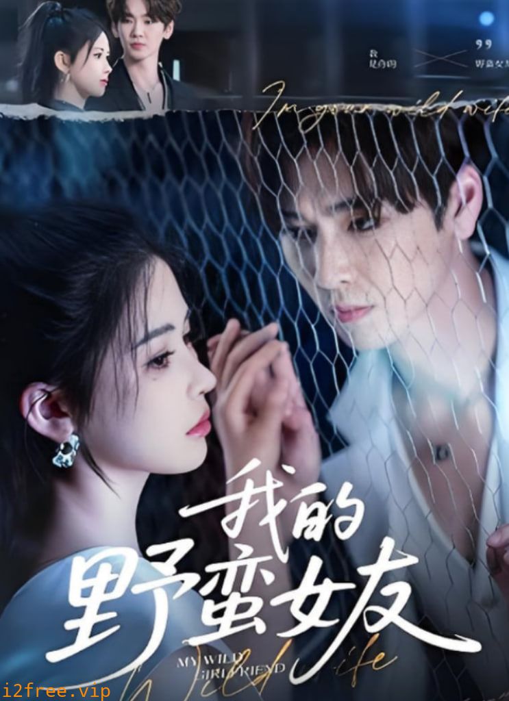 我的野蛮女友 封面图片