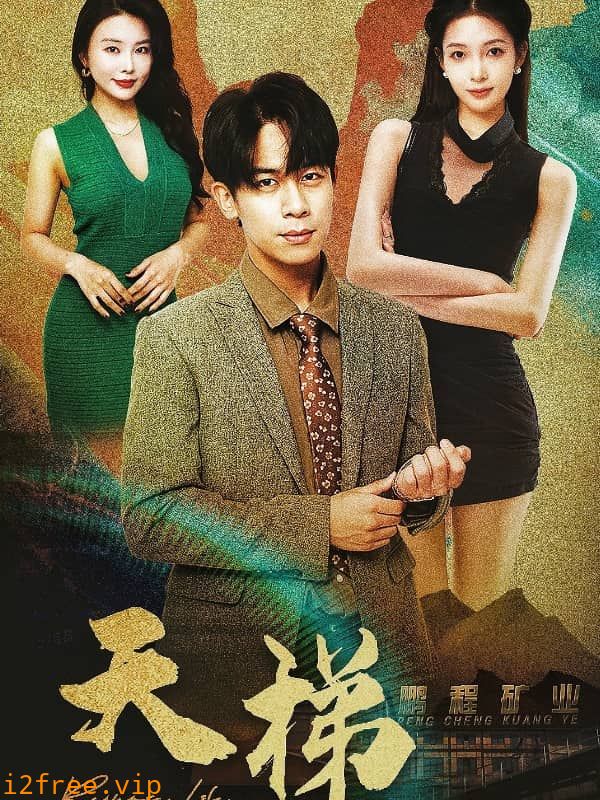 天梯 封面图片