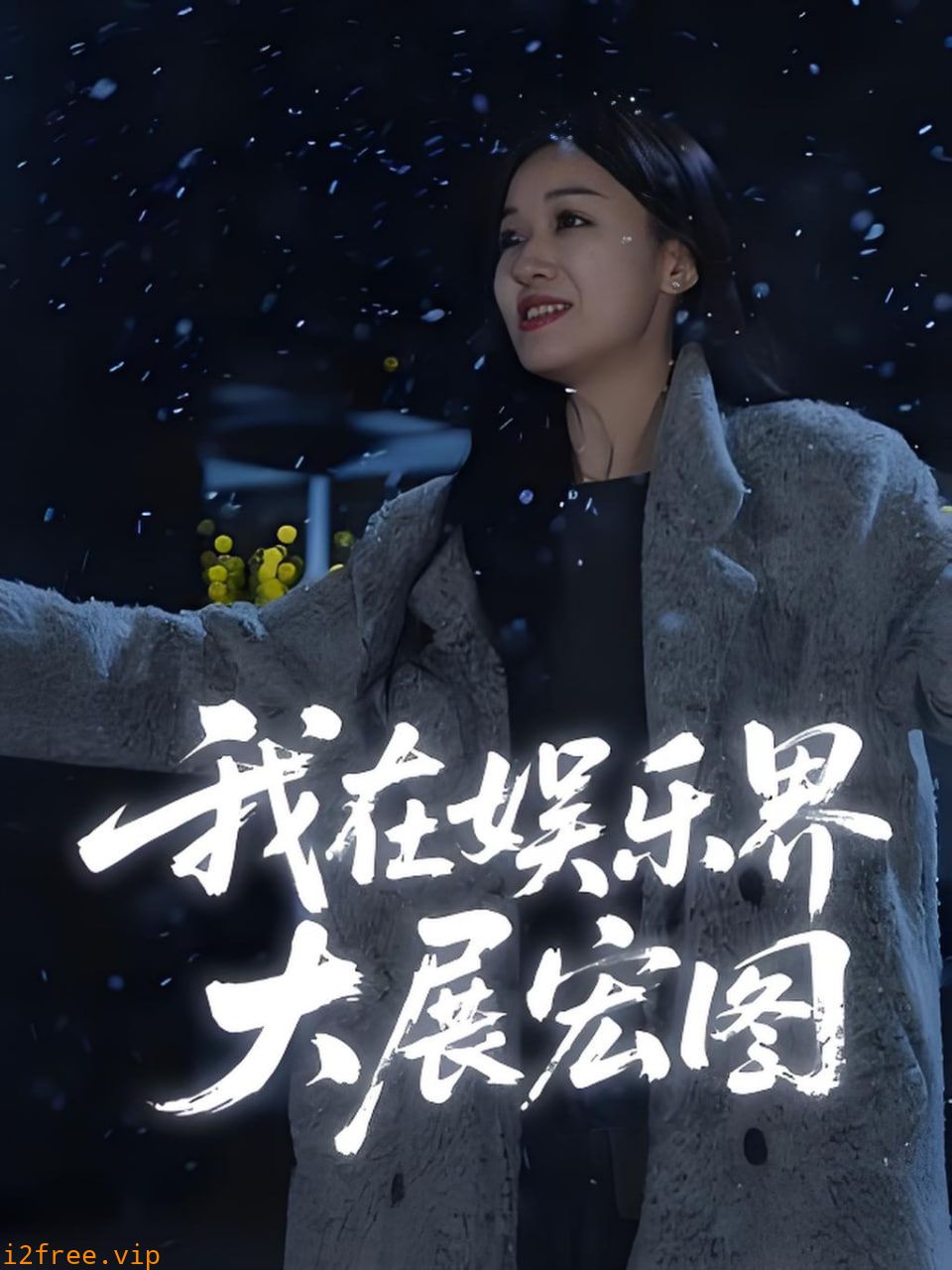 娱界掌舵人（我在娱乐界大展宏图） 封面图片