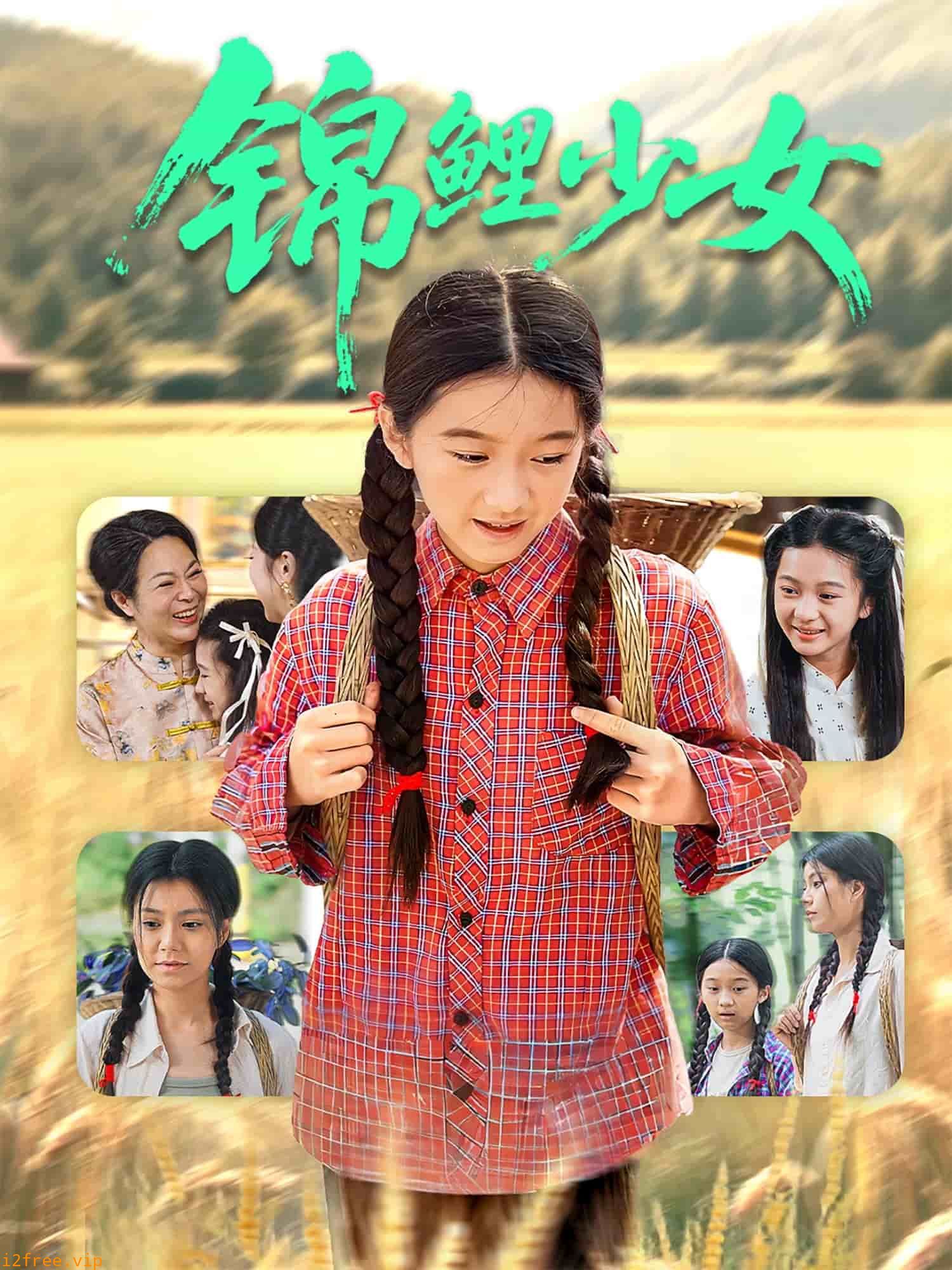 锦鲤少女 封面图片