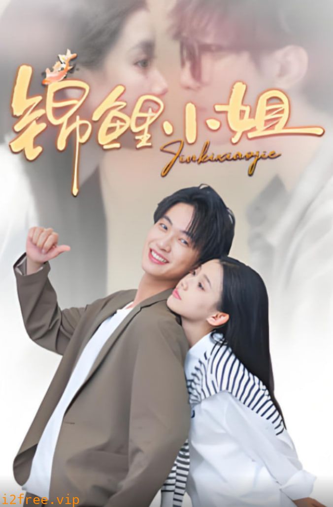 锦鲤小姐 封面图片
