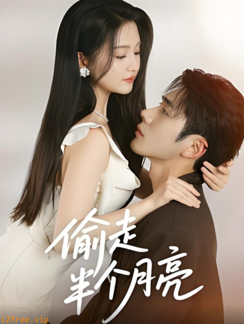 偷走半个月亮 封面图片