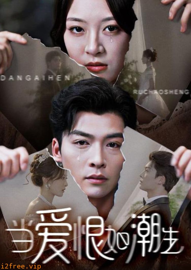 当爱恨如潮生 封面图片
