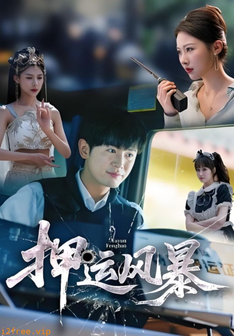 押运风暴 封面图片