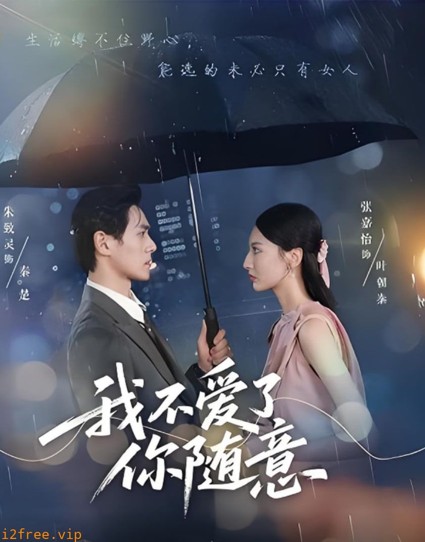 我不爱了你随意 封面图片