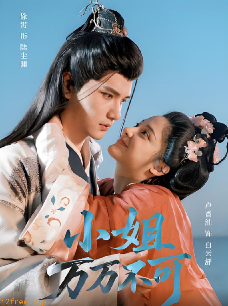 小姐万万不可 封面图片