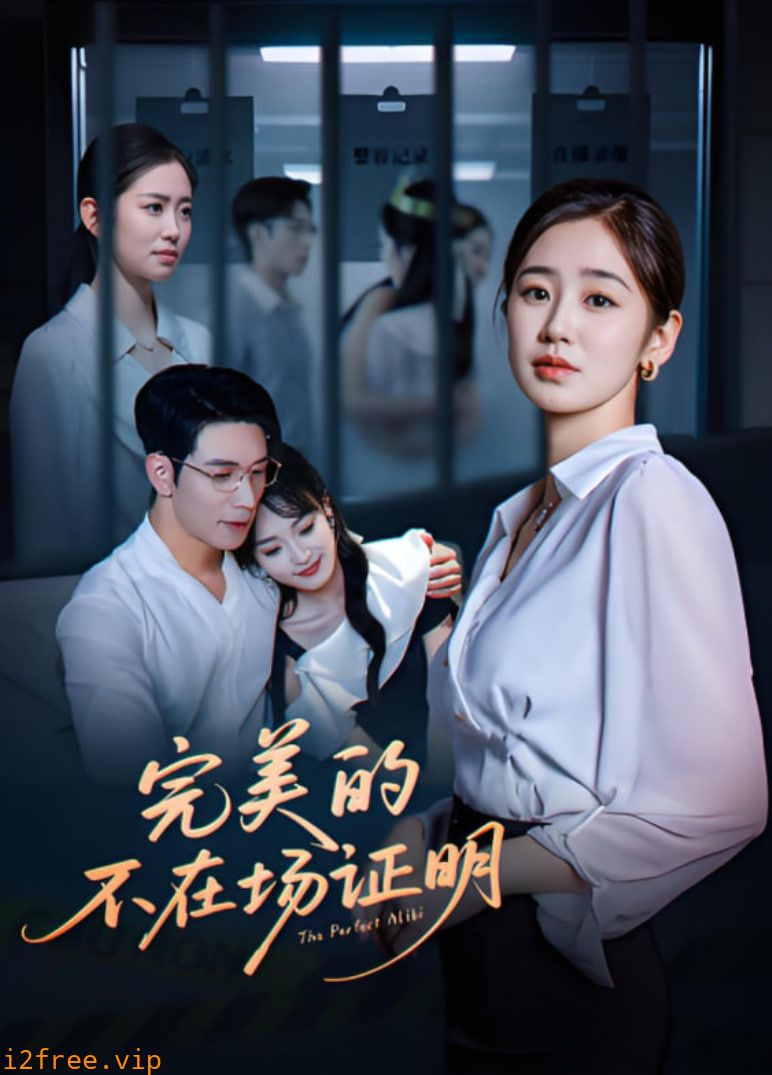 完美的不在场证明 封面图片